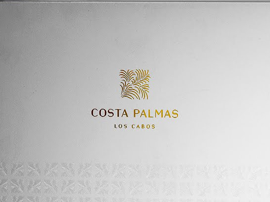 Costa Palmas Los Cabos Book